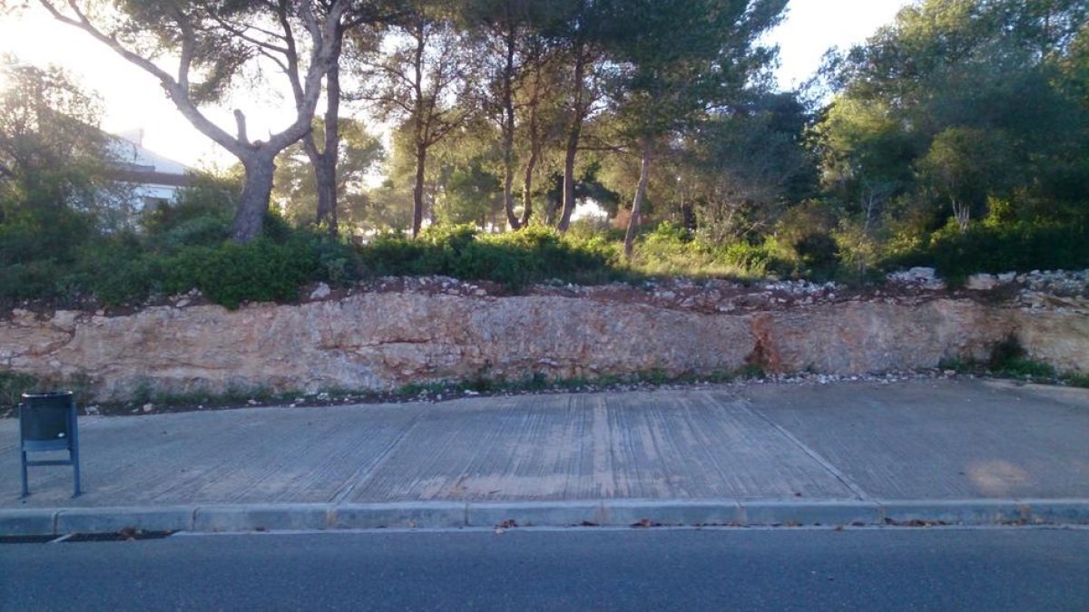 La setmana vinent es farà una intervenció arqueològica al jaciment ibèric de Puig Pelós de Cunit