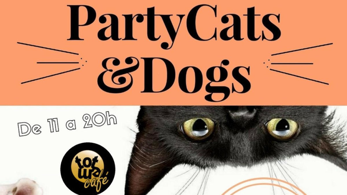 Arriba la PartyCats&Dogs a Tarragona