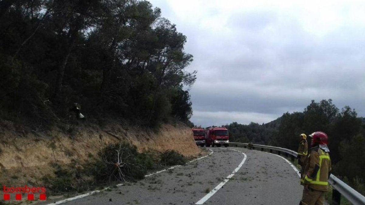 Tres muertos en un accidente de avioneta