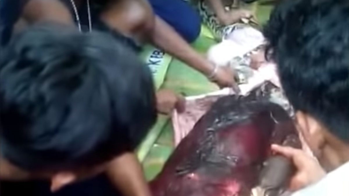 Una serpiente de siete metros se come a una mujer entera