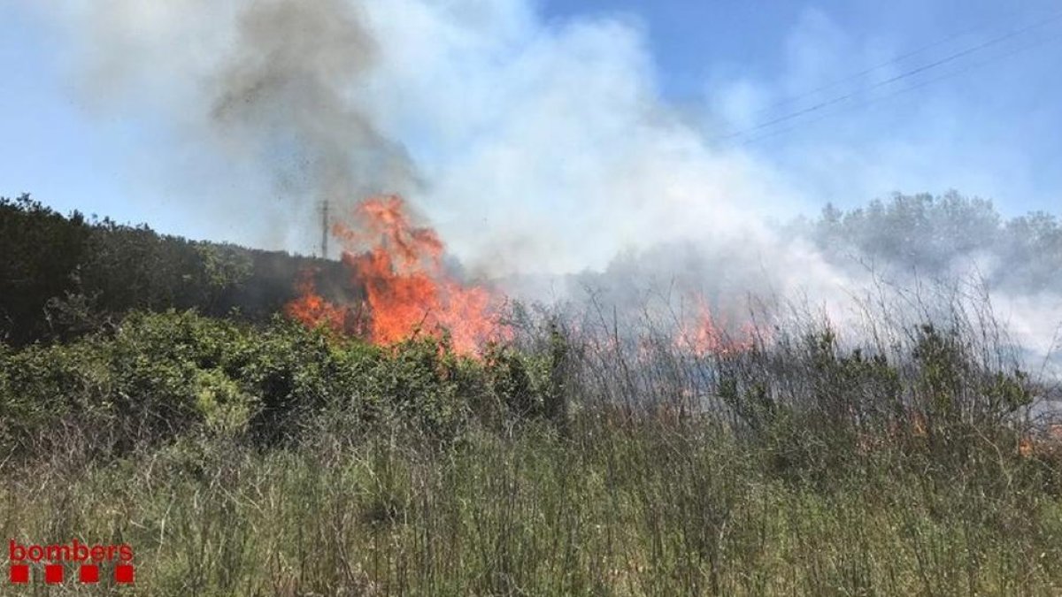 Un incendi a Amposta crema 3.100 metres quadrats de vegetació