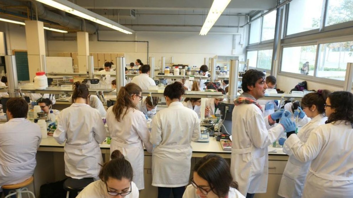 La URV, entre les 450 millors universitats del món en Química, segons el QS