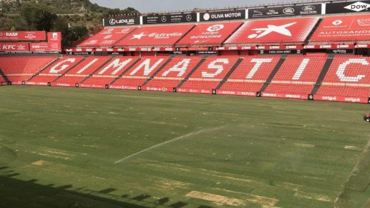Instalada el nuevo césped en el Nuevo Estadio