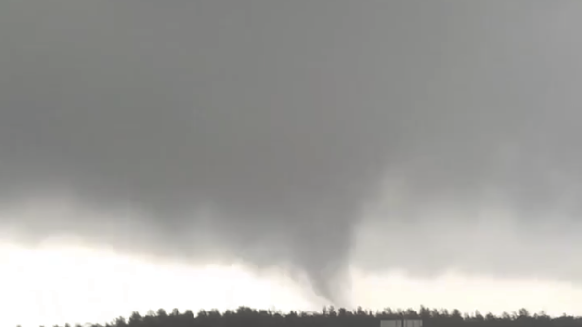 Un tornado arranca varios árboles en el parque de la Torre d'en Dolça de la Pineda