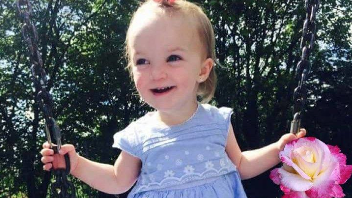 Roben un cotxe amb una nena de dos anys dins i el llencen riu avall