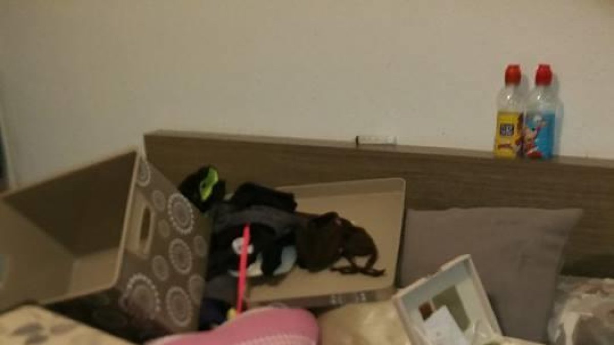 Unos ladrones entran con una escalera en dos viviendas de Boscos de Tarragona