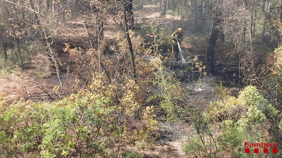 Cremen 6.500 metres quadrats de matolls al barri de Sant Salvador