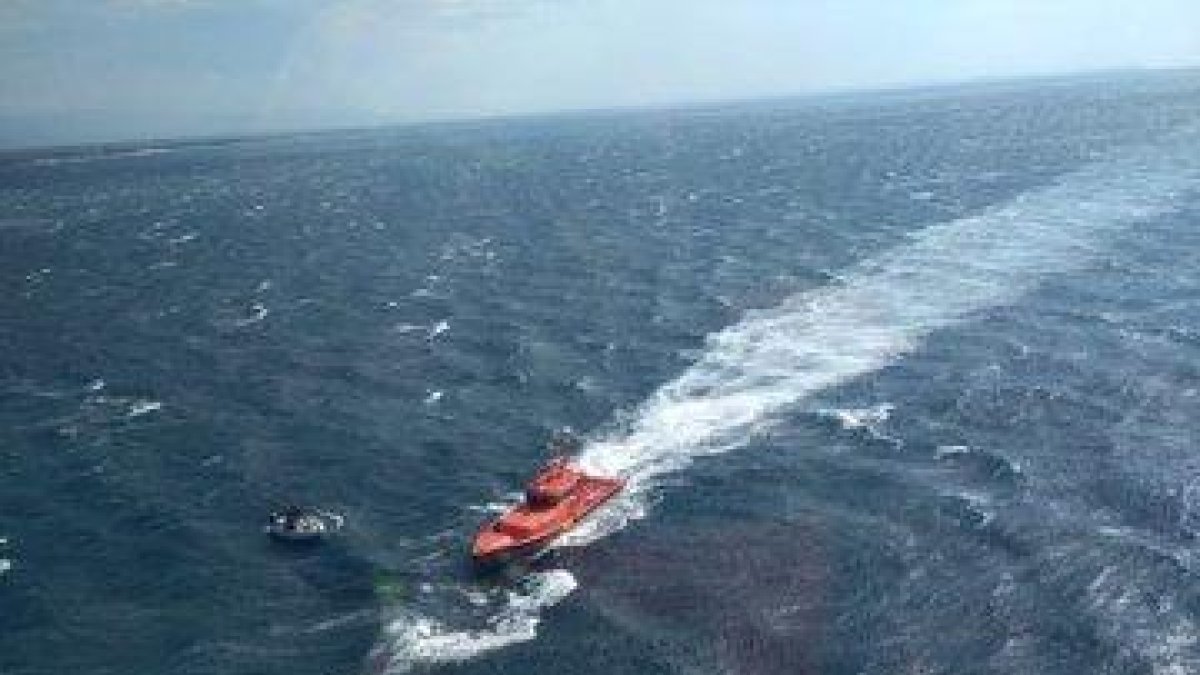 Rescaten dos bussos desapareguts a l'Hospitalet de l'Infant