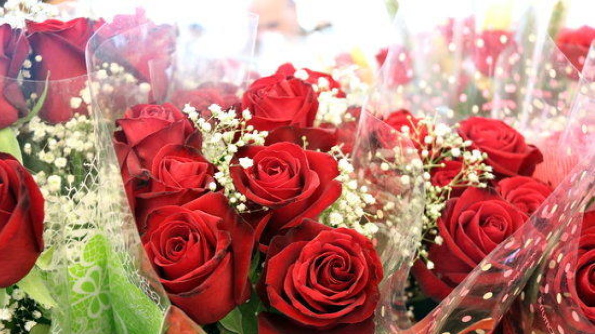 Els catalans compraran 7 milions de roses per Sant Jordi