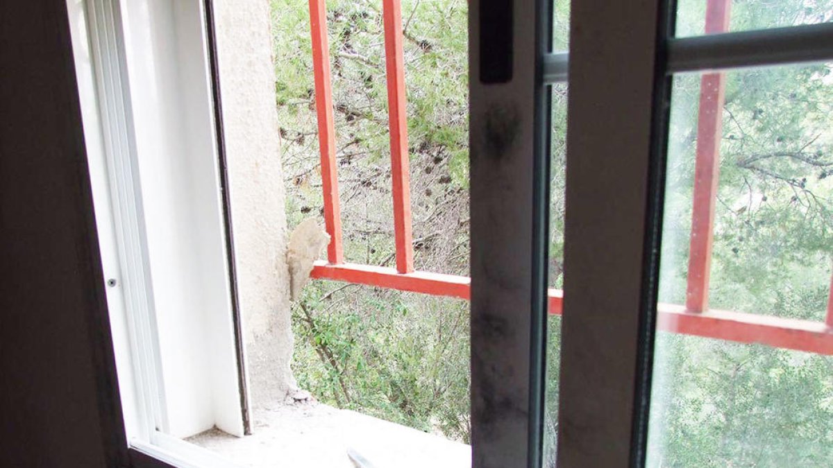 Detingut un jove de 27 anys per robar en una casa a Bellvei