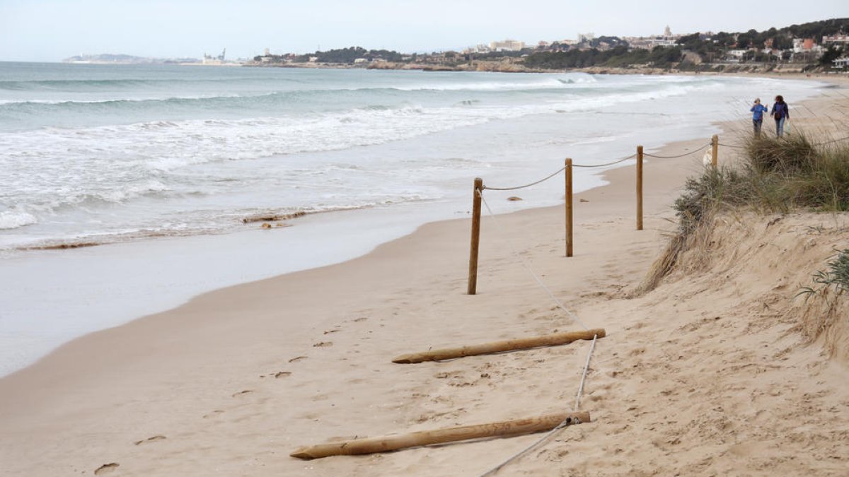 L'Ajuntament licitarà les guinguetes de la Llarga i la Móra, que obriran el mes de maig