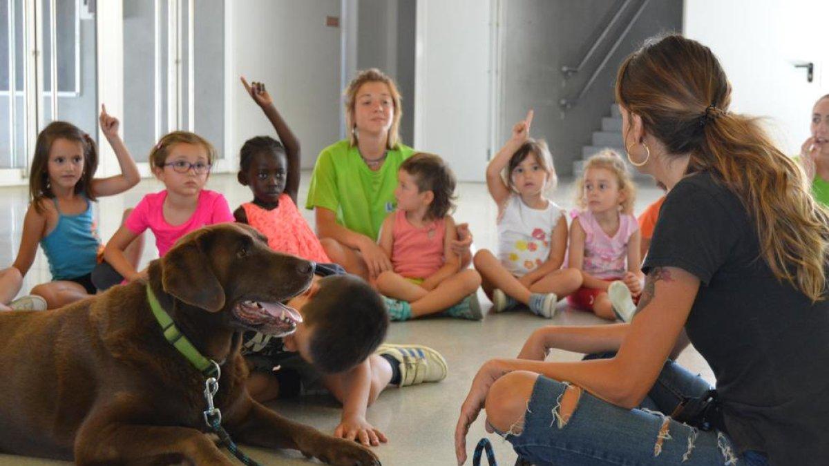 Los más pequeños aprenden a ser responsables con las mascotas en los Centros de Verano de Reus