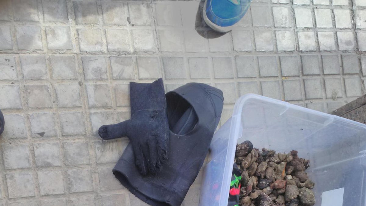 Enxampen un mariscador furtiu quan lliurava el marisc a un restaurant a Les Cases d'Alcanar