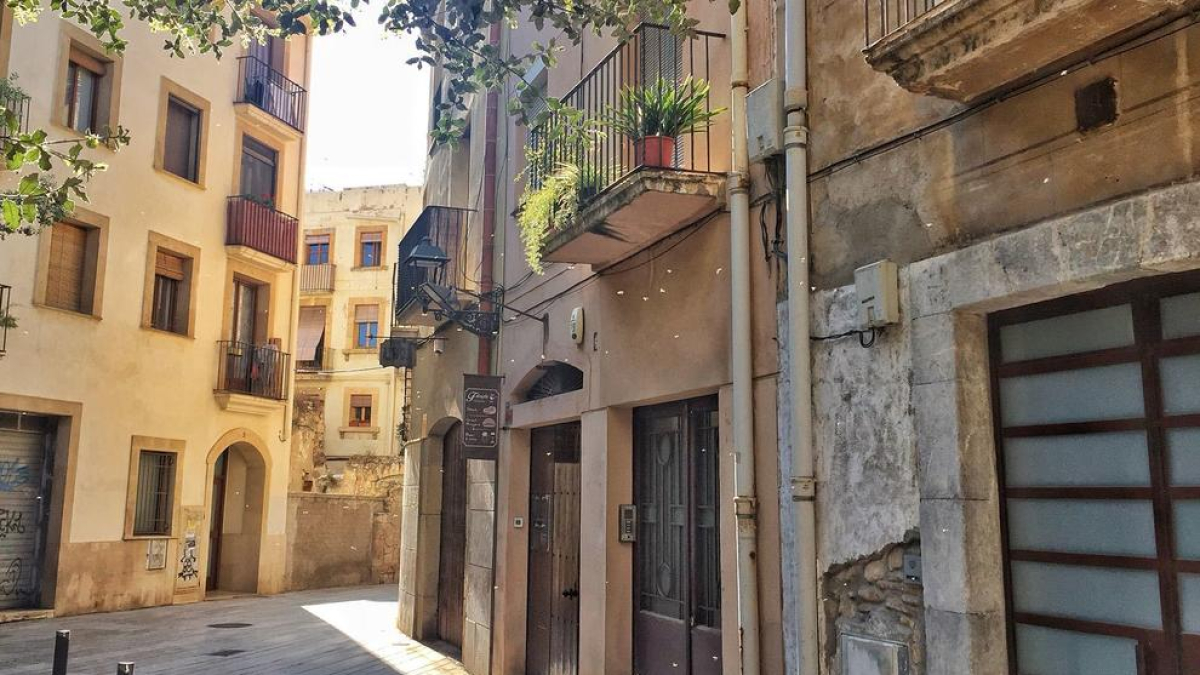 Una plaga de mosques afecta diversos carrers i places de la Part Alta de Tarragona
