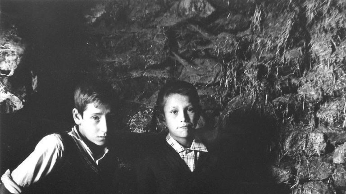 Tret de sortida a les activitats de commemoració del 10è aniversari del Festival SCAN