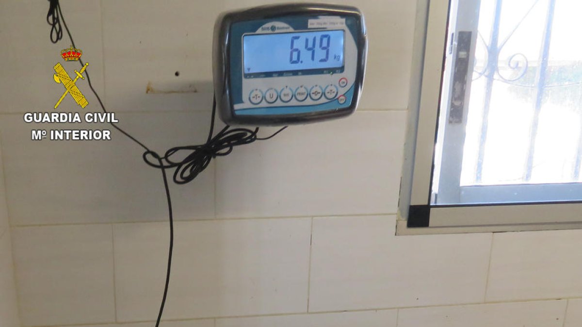 Intervenidos 50 kilos de coquina de talla antirreglamentaria en Deltebre