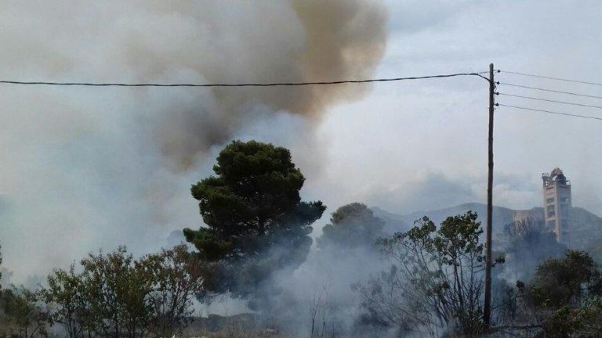 Incendi forestal a Alcanar