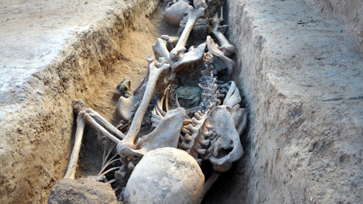 Identifiquen per primer cop una víctima de les fosses de la Guerra Civil a través del banc d'ADN dels familiars