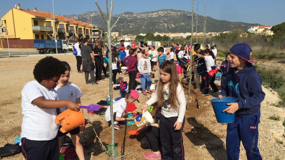 Cerca de 600 escolares celebran el Día del Árbol en l'Hospitalet de l'Infant