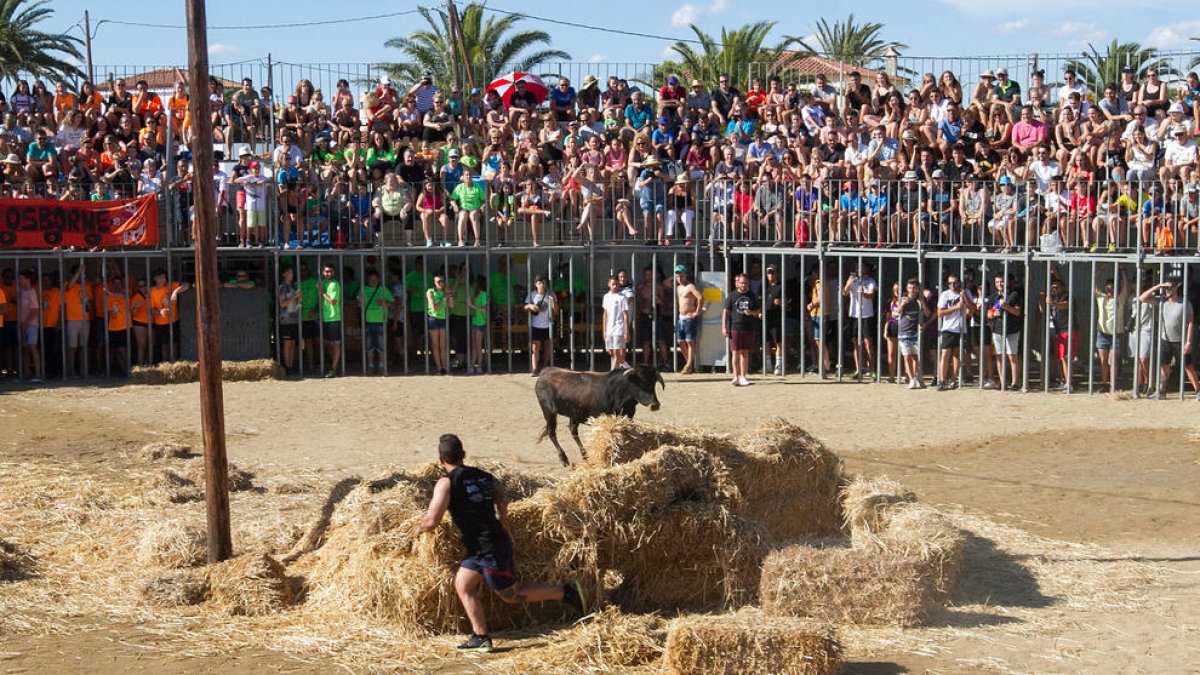 Miami Platja continúa la tradición de las 'vaquillas' con una plaza llena hasta los topes