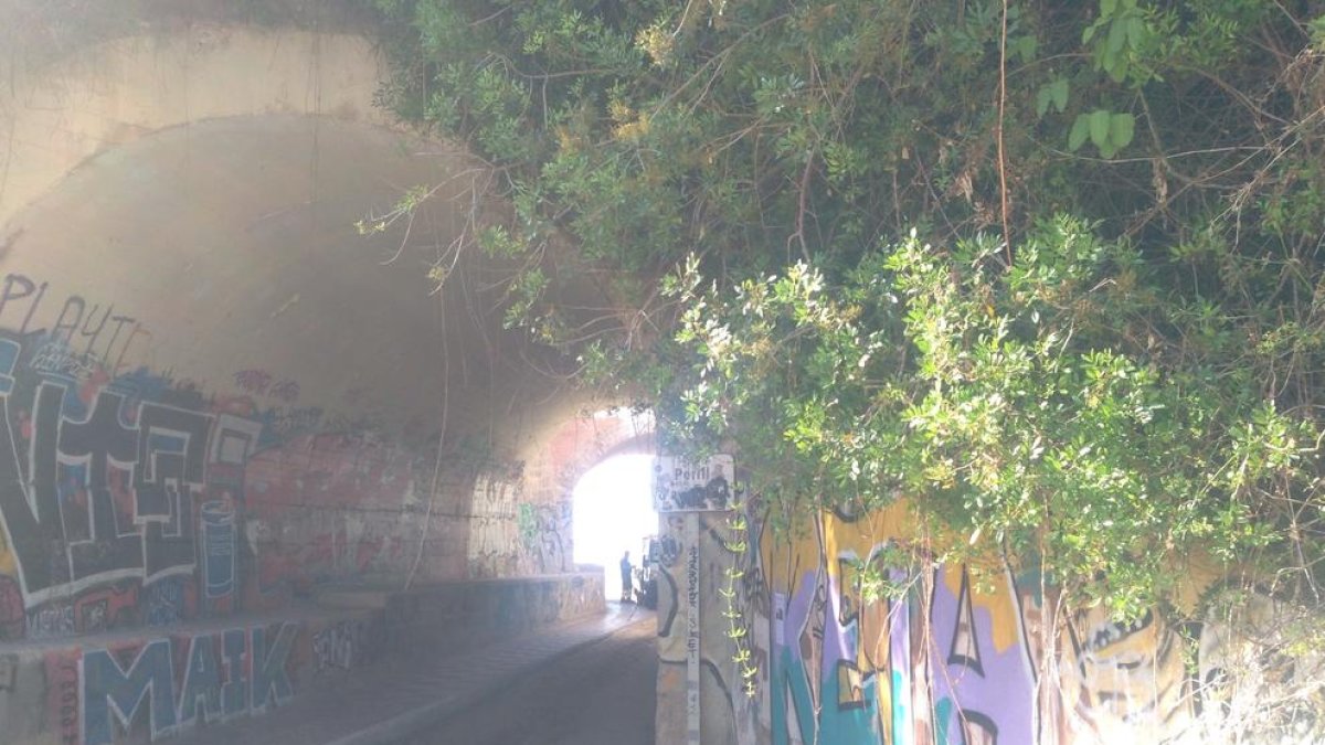 El PDeCAT titlla de «deplorable» l'estat dels accessos a les platges des de Cala Romana i Solimar