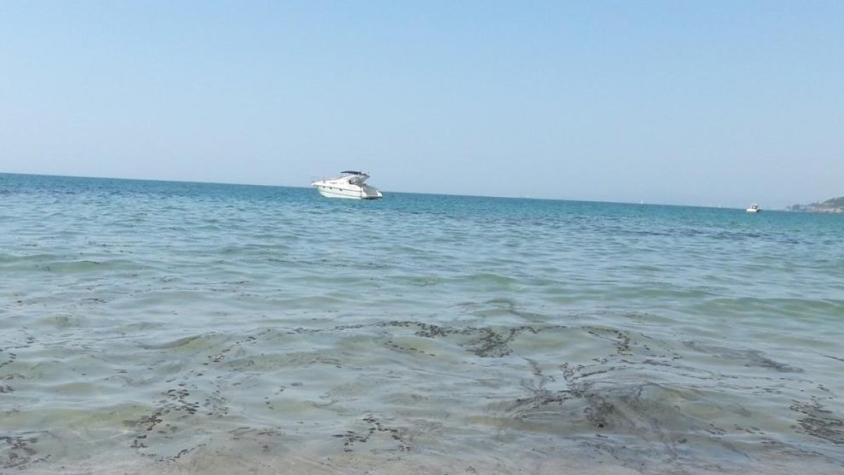 Una taca negra a la platja d'Altafulla posa en alerta al municipi