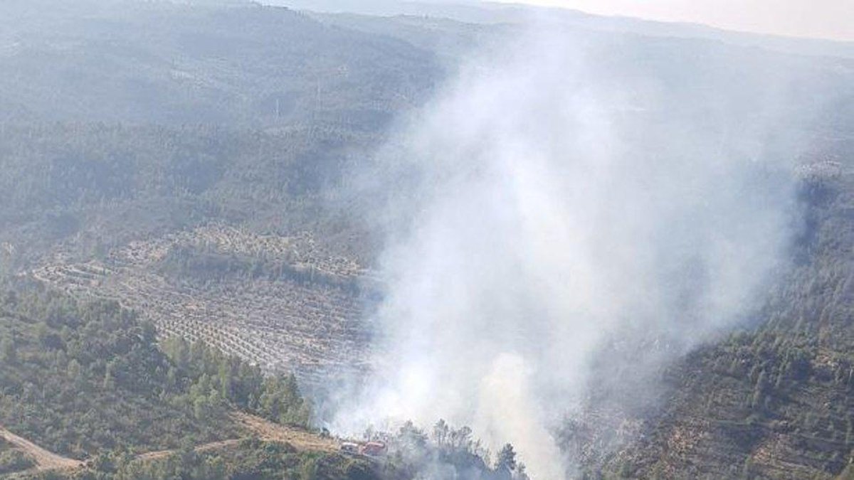 Un incendio afecta a la zona de Gorraptes en Vinebre