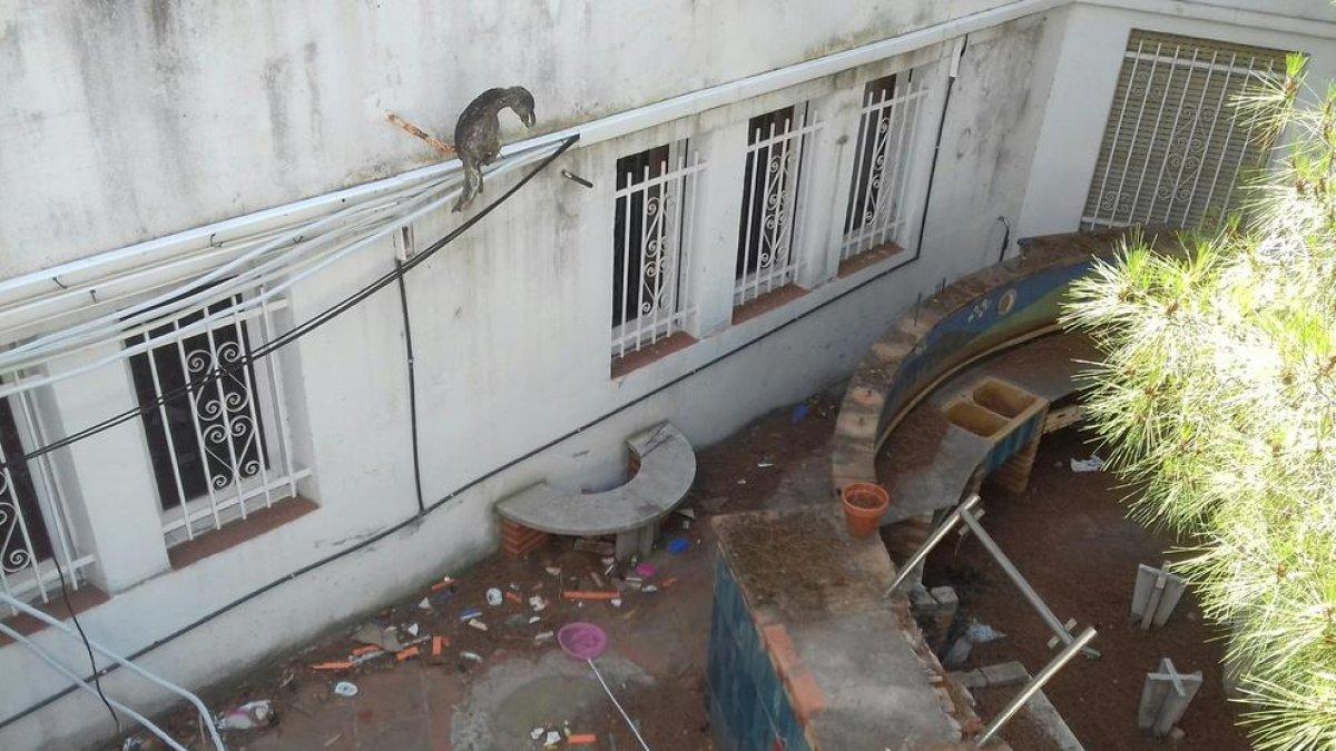Los ocupas del CRAE ofrecerán una merienda y visitas a los vecinos este miércoles