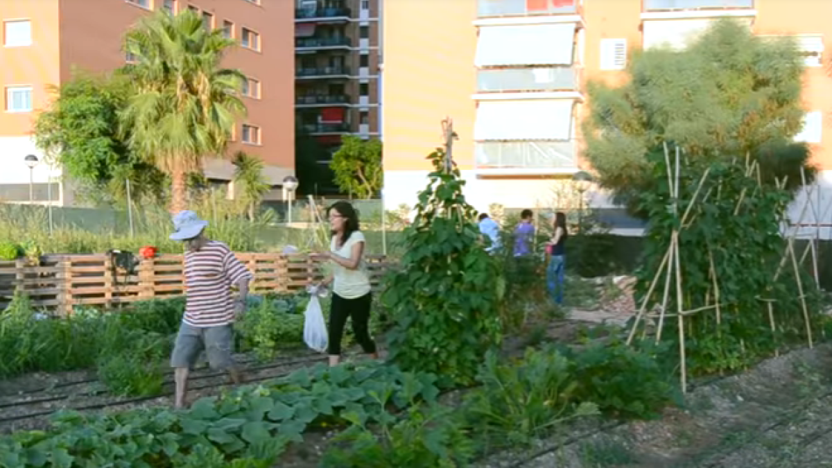 El professor Albert Fabregat premiat per l'espai d'aprenentatge dels Horts Socials