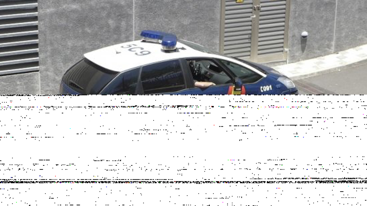 La Fiscalia acusa un epilèptic d'atemptat després de colpejar a dos agents quan convulsionava