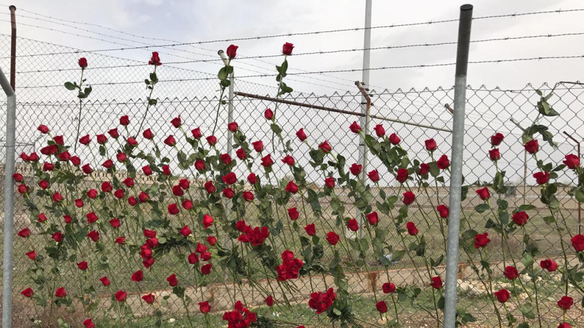 200 rosas rojas alfombran la valla de Alcalá Meco en solidaridad con Forcadell y Bassa