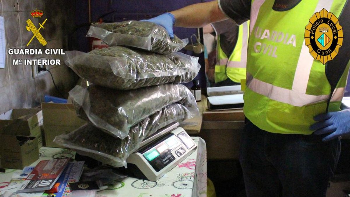 Detenidos los cinco responsables de una asociación cannàbica de Cunit por tráfico de drogas