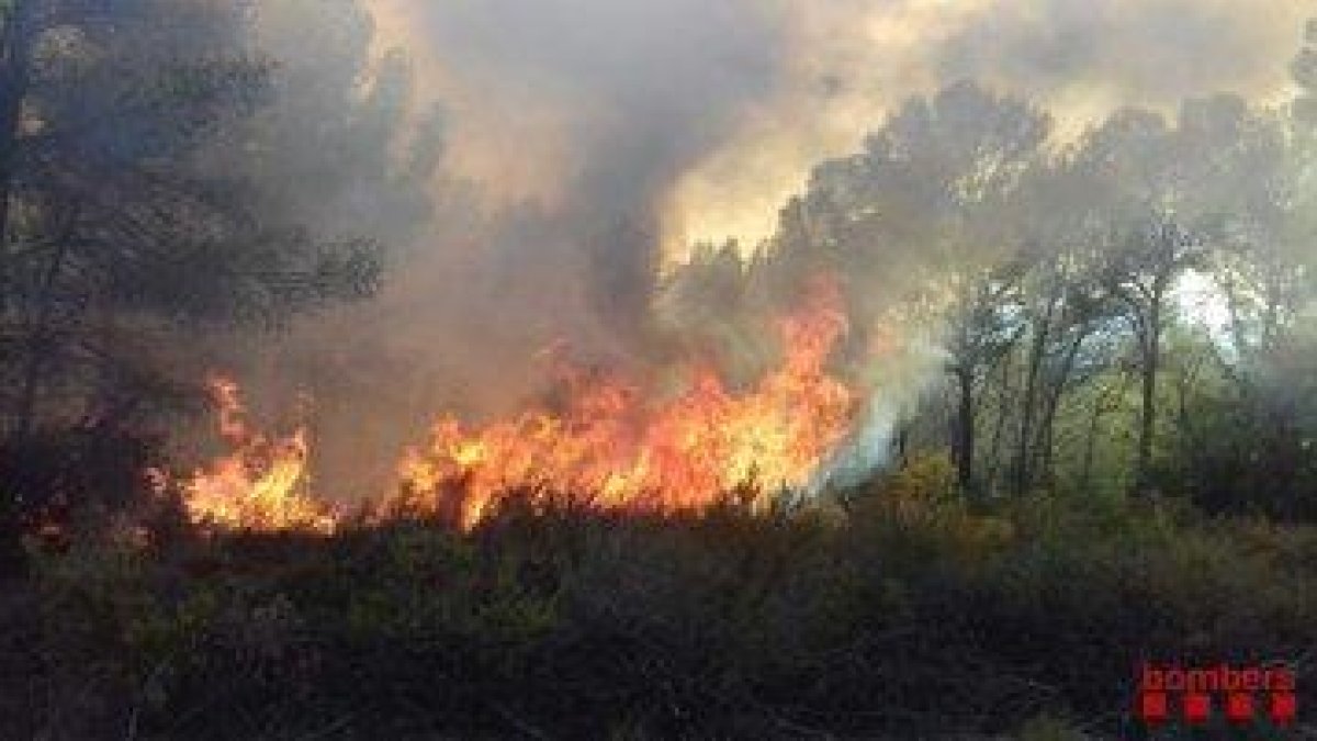 Un incendi forestal afecta el barri de Sant Salvador