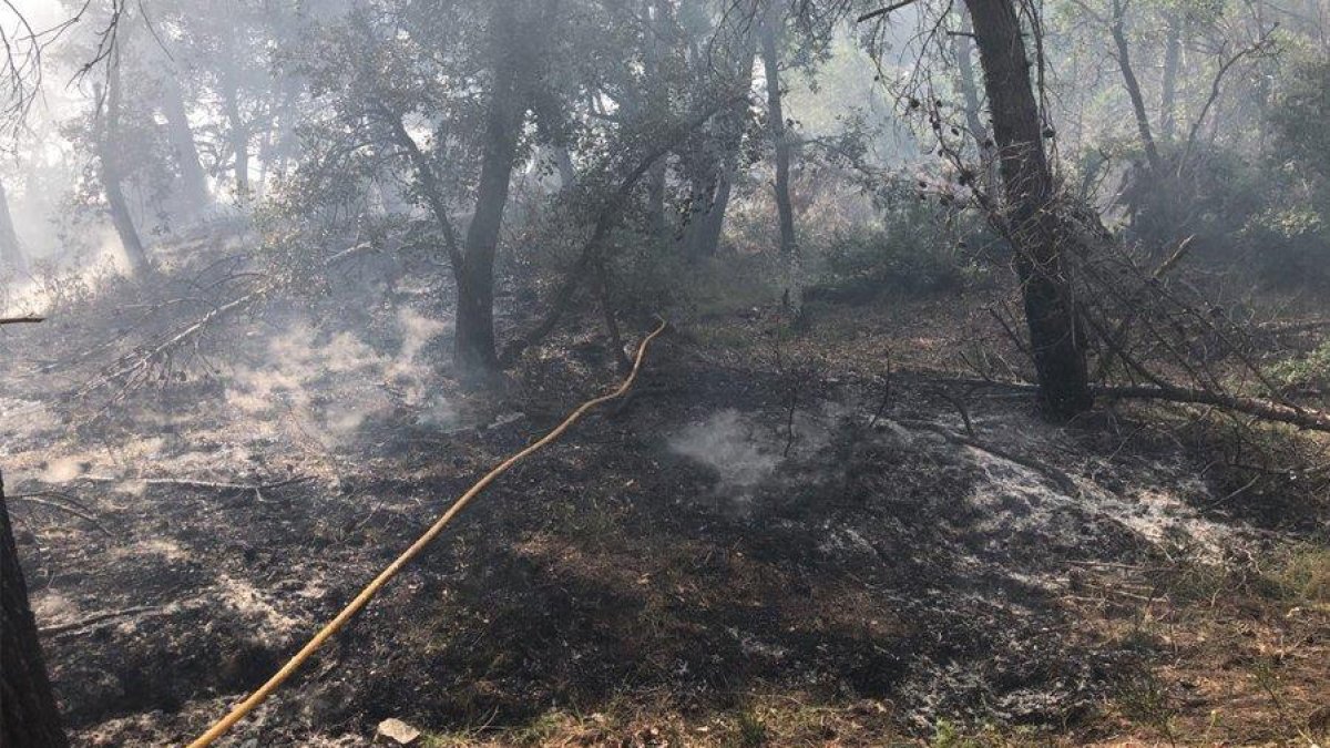Un incendio de vegetación en Llorac moviliza un helicóptero y cinco dotaciones terrestres