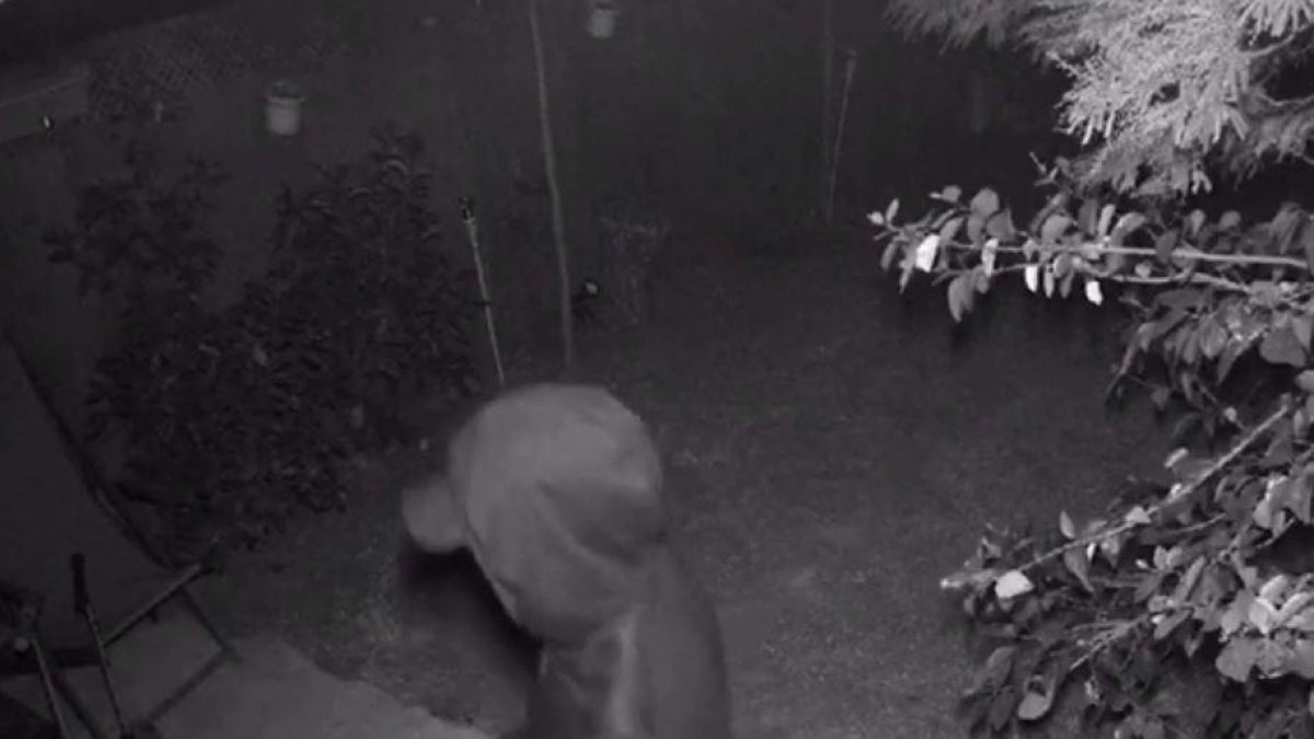 Detenido el presunto autor de dos robos en domicilios en la zona de la Playa Larga de Tarragona