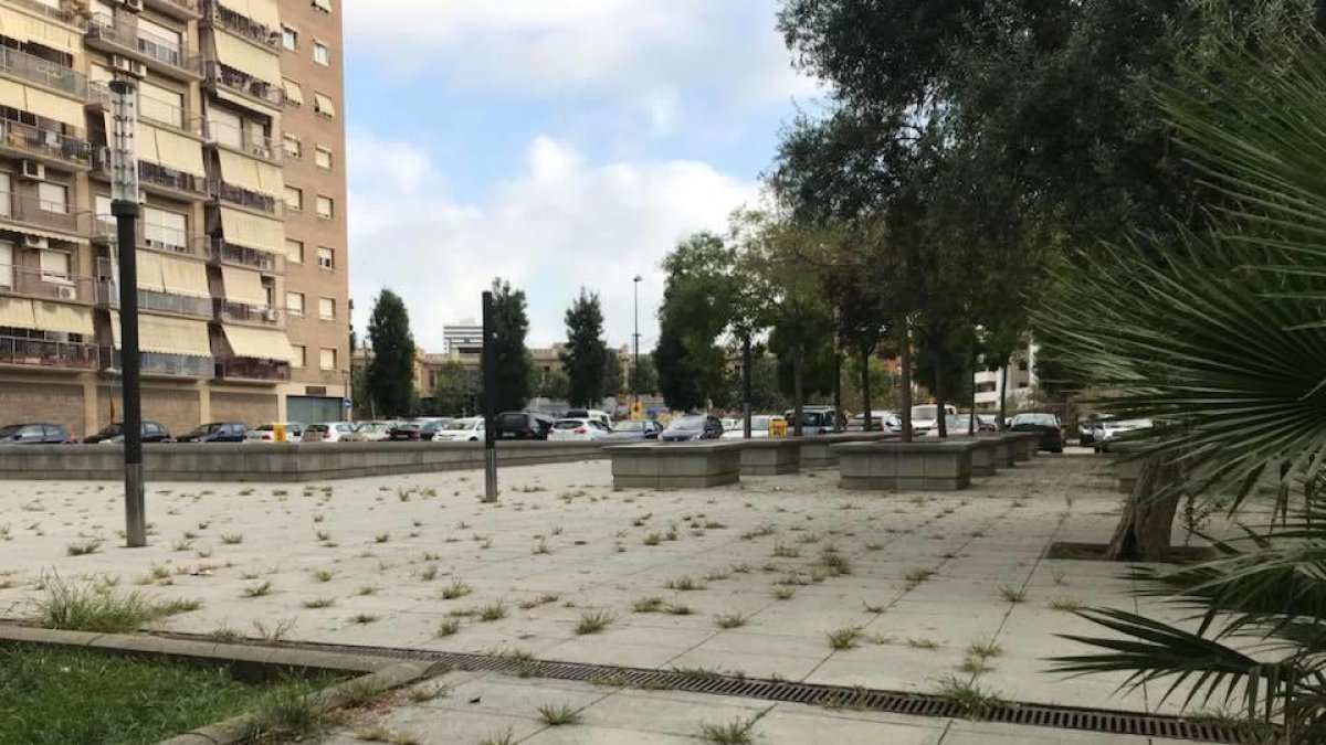 Las hierbas crecen en la plaza principal de Torres Jordi