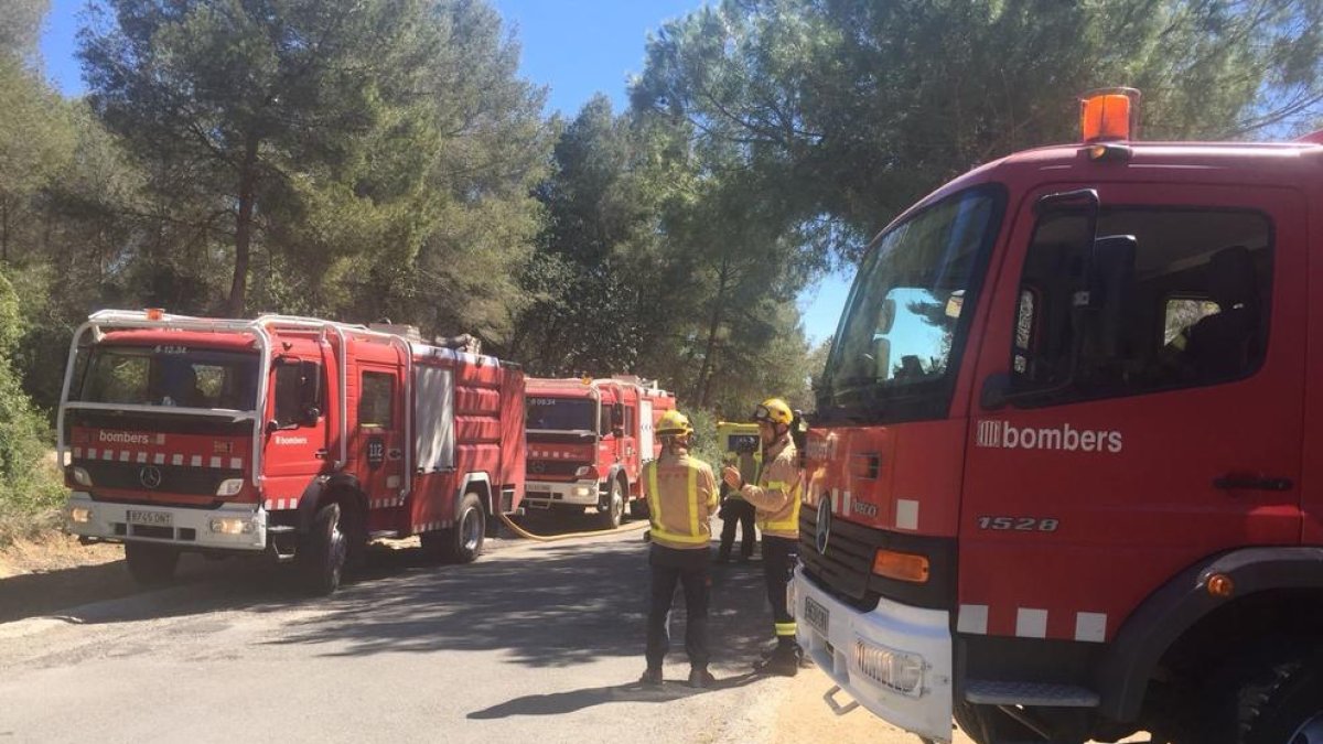Cremen 900 metres quadrats de massa forestal al camí de Boscos de Tarragona