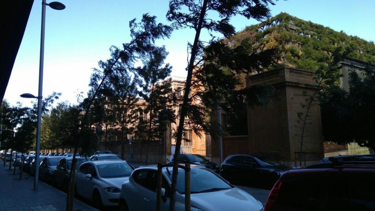 Els Bombers reben fins a 25 trucades pel fort vent en menys d'una hora