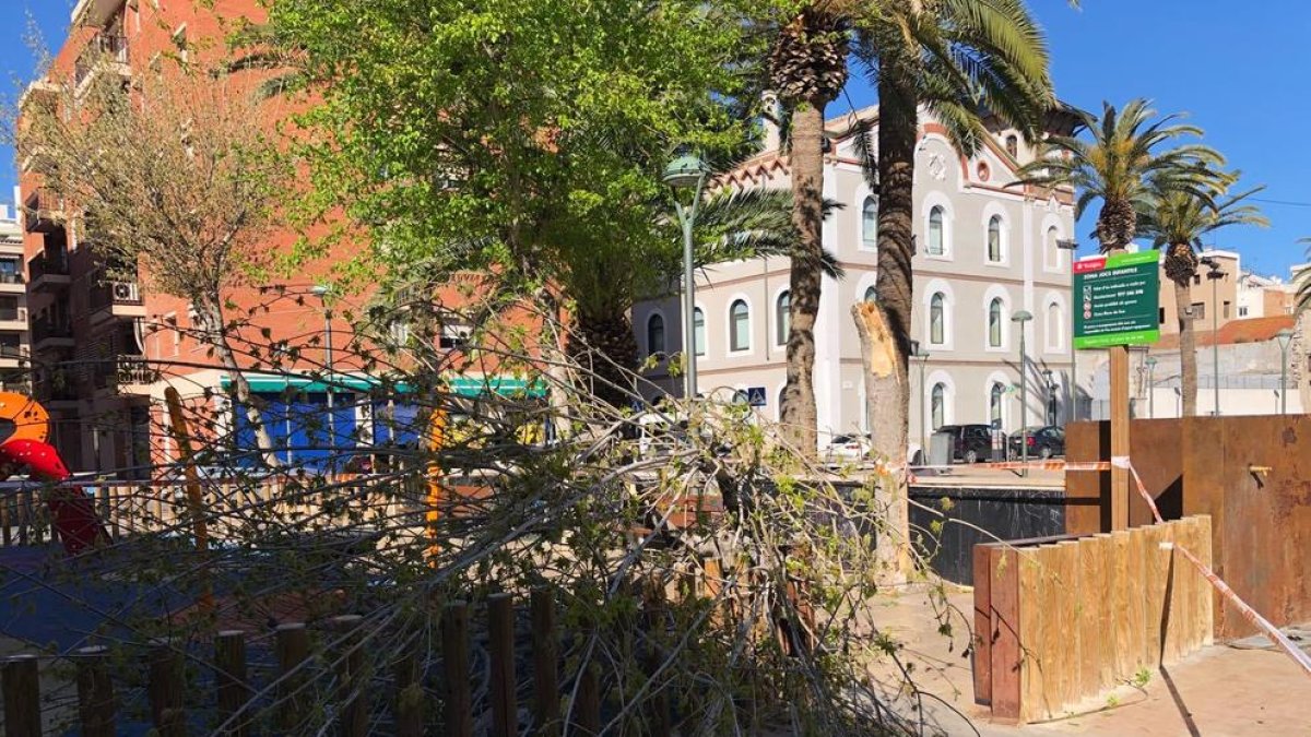 El fuerte viento tumba árboles en el Camp de Tarragona y restringe el tráfico de camiones y caravanas en la A-7 y la N-340