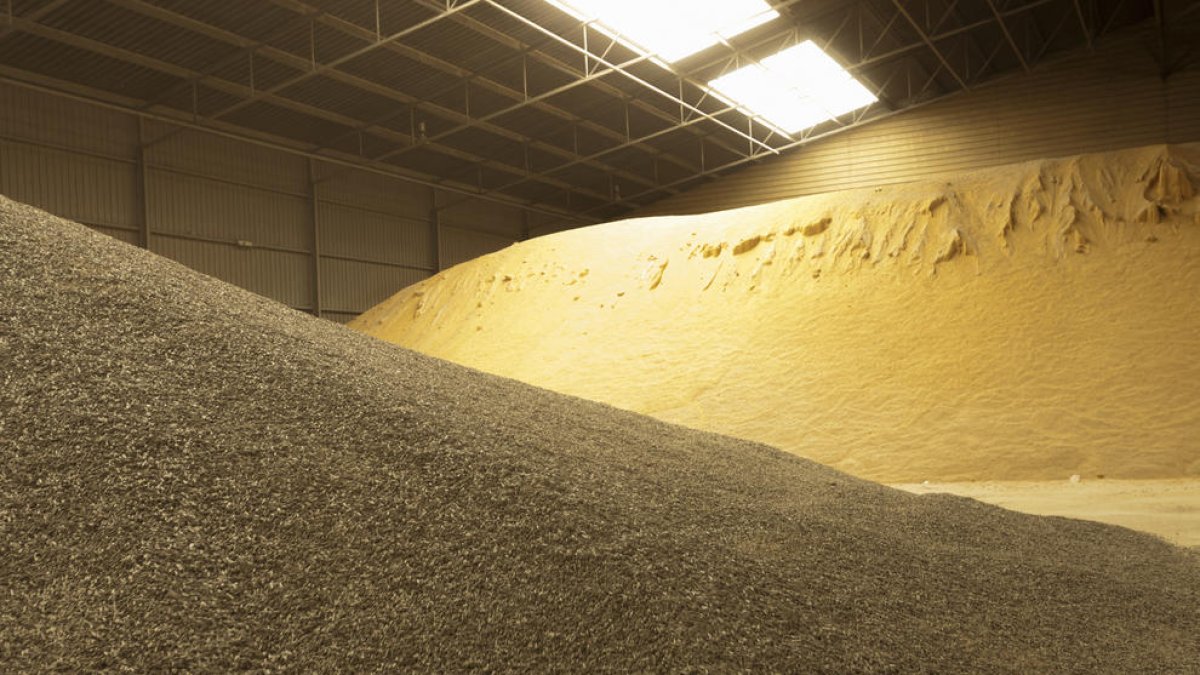 Port de Tarragona creix un 10,6% en el millor mes d'abril de la seva història