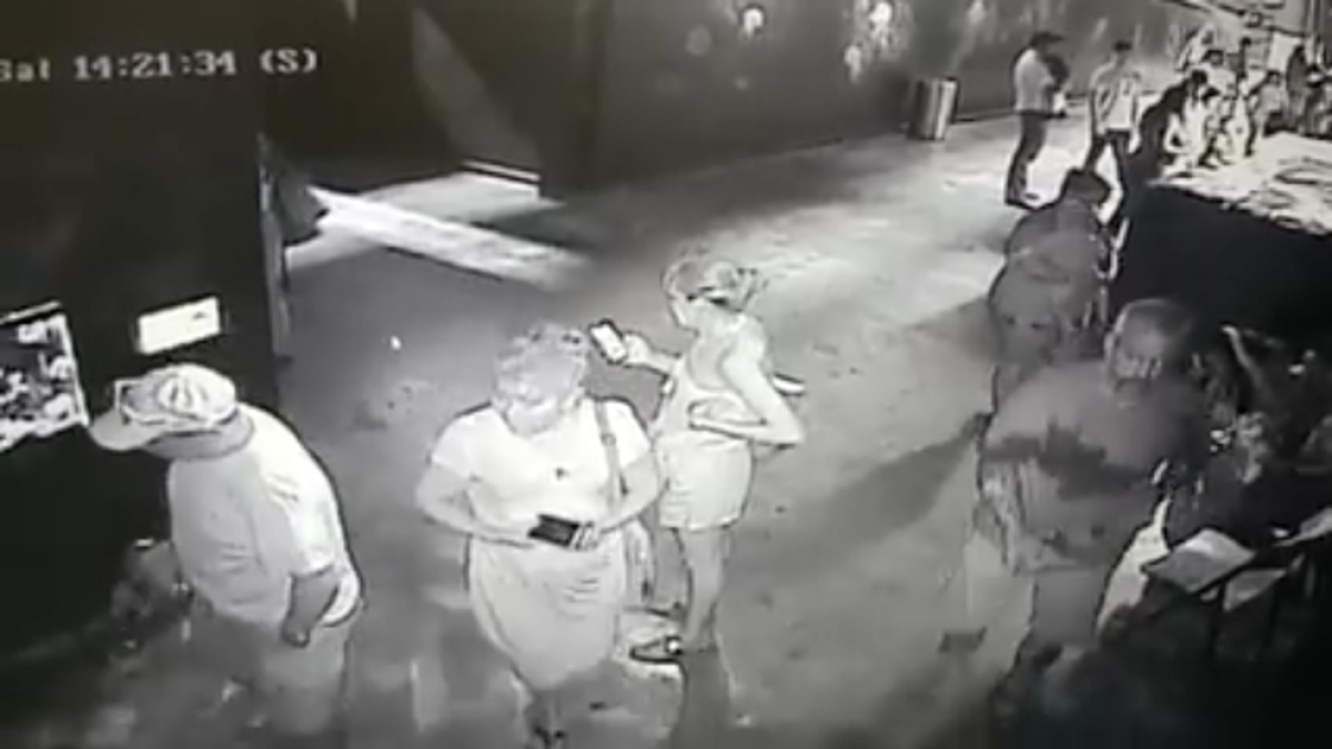 Roben un tauró d'un aquari amagant-lo en un cotxet per nadons