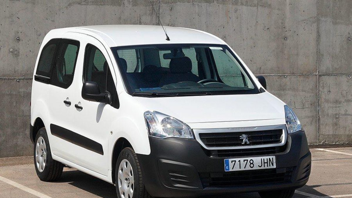 La Coordinadora Felina de Tarragona demana una furgoneta per traslladar els gats