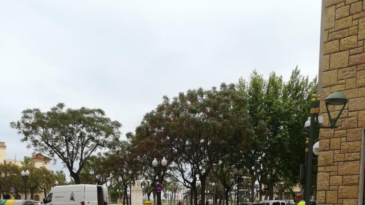 Denuncian olores muy fuertes mientras pintan un paso de cebra