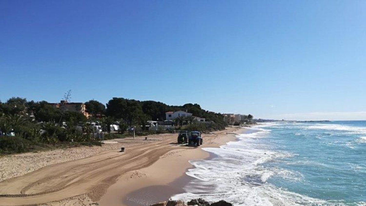Retiran las velellas de la playa del Francàs del Vendrell