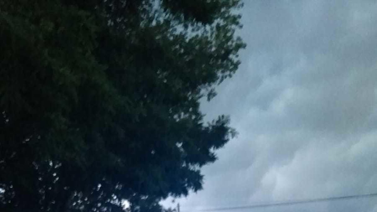 Un grup animalista assalta una granja a Osona i s'endú una quinzena de conills