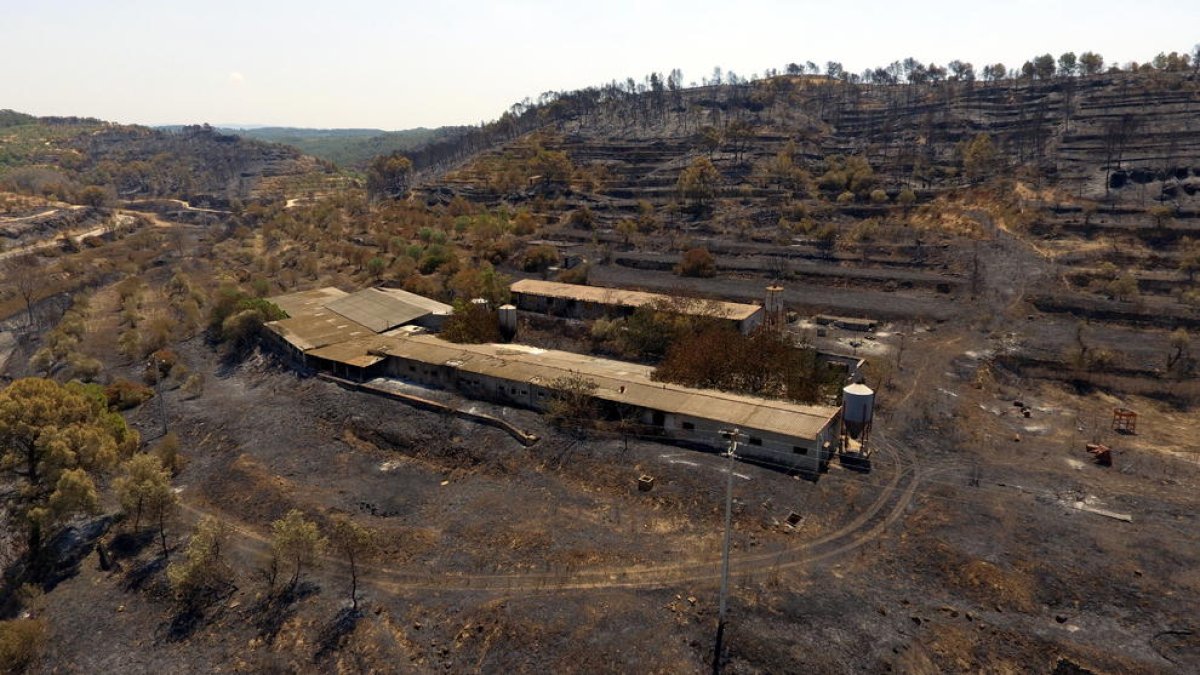 dron, incendi de la Ribera d'Ebre, La Granadella, Bovera, imatges aèries
