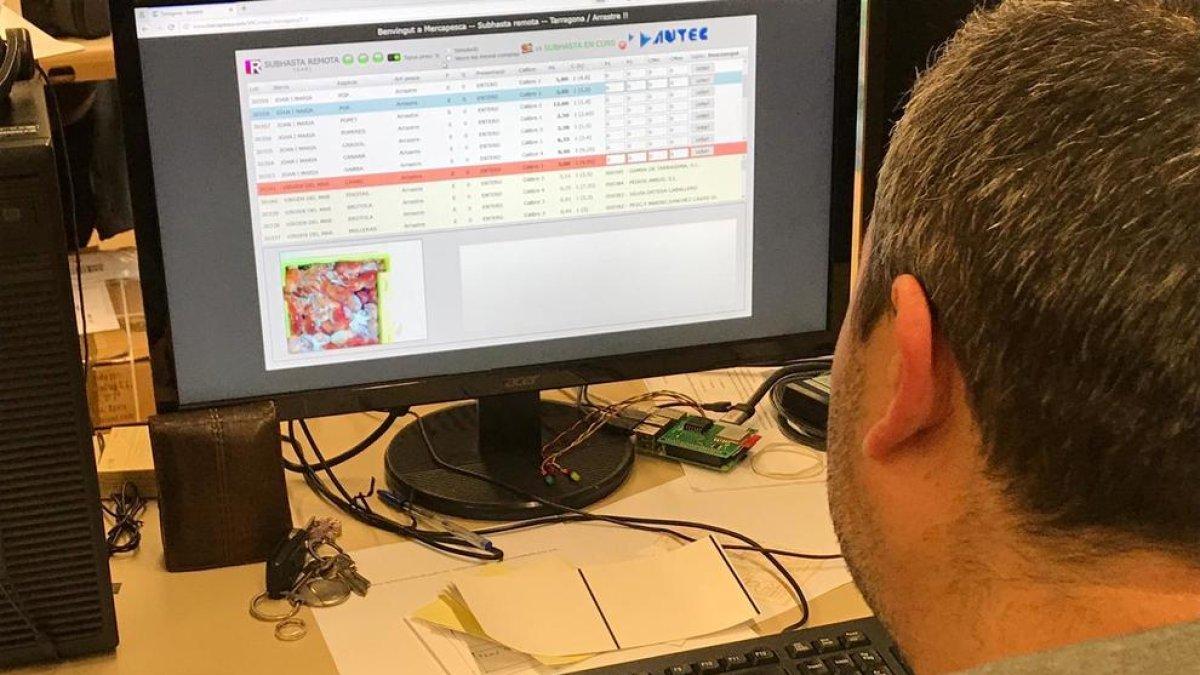 La llotja consolida la venda de peix per Internet, que representa el 32%