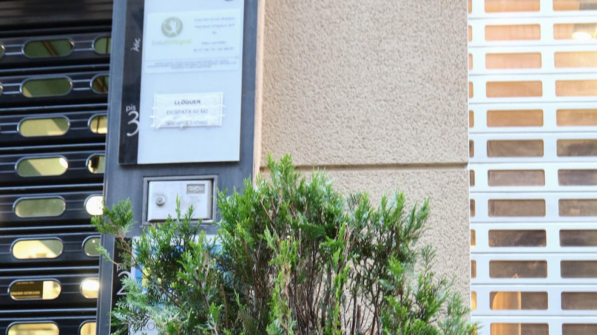 Els grafiters contraataquen i noves pintades desafien Pellicer