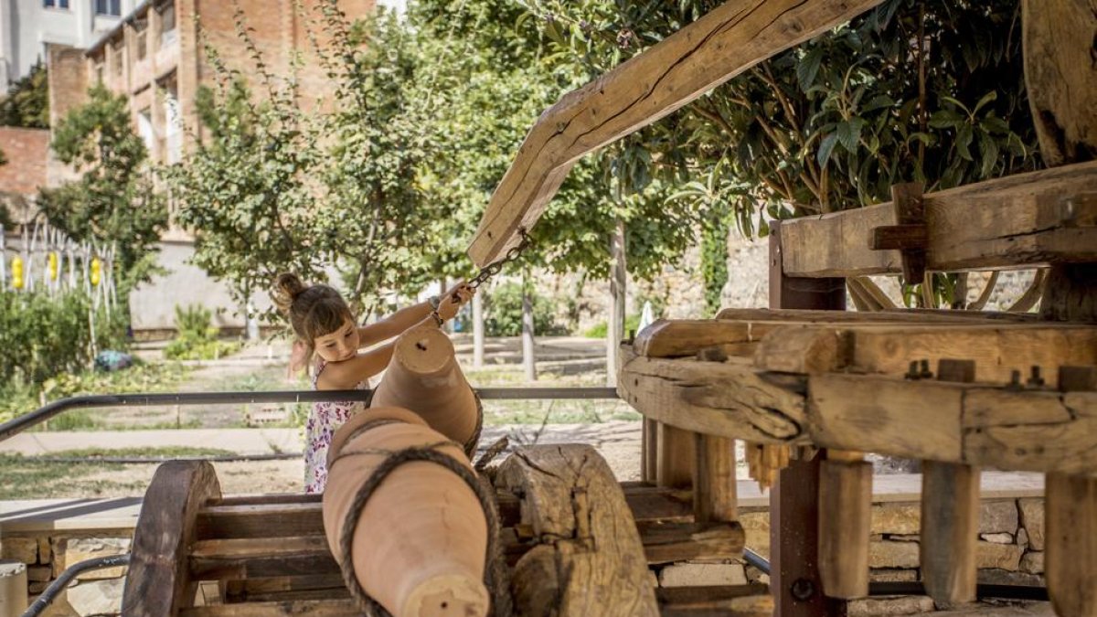 Cultura y educación, motores del cambio