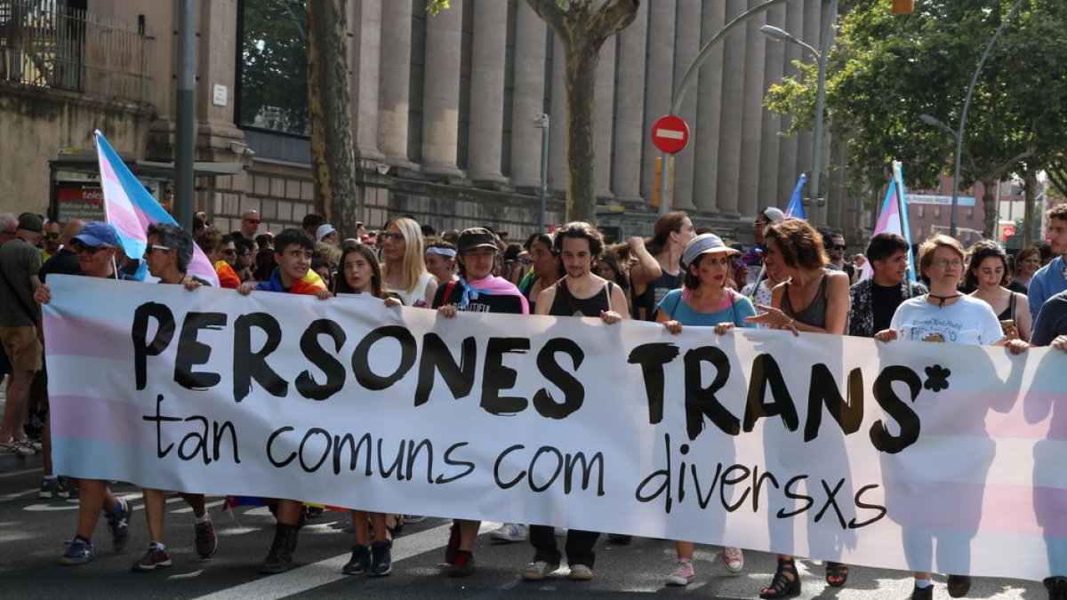 Las personas transgénero podrán escoger el nombre en la tarjeta de transporte público